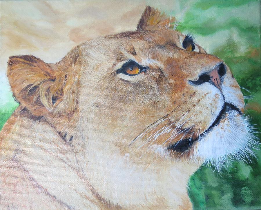 Nature Painting - Lioness Big Cat Oil Painting Hand Painted 8 x 10 inches by Pigatopia by Shannon Ivins