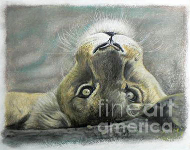 Lioness Painting by Jeanette Louw