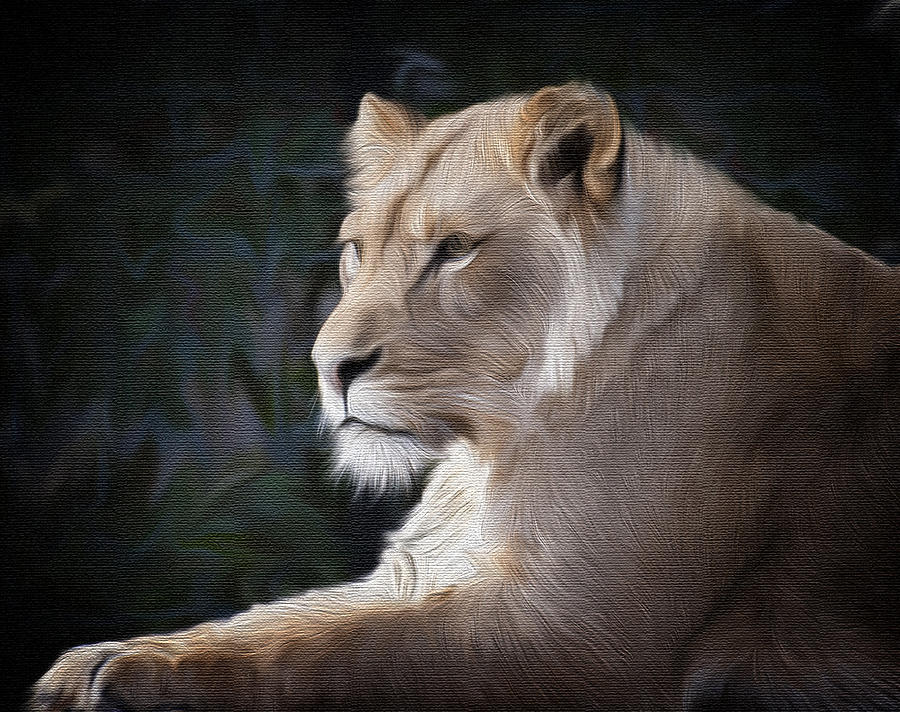 Lion Painting - Lioness by Kathy Williams-Walkup