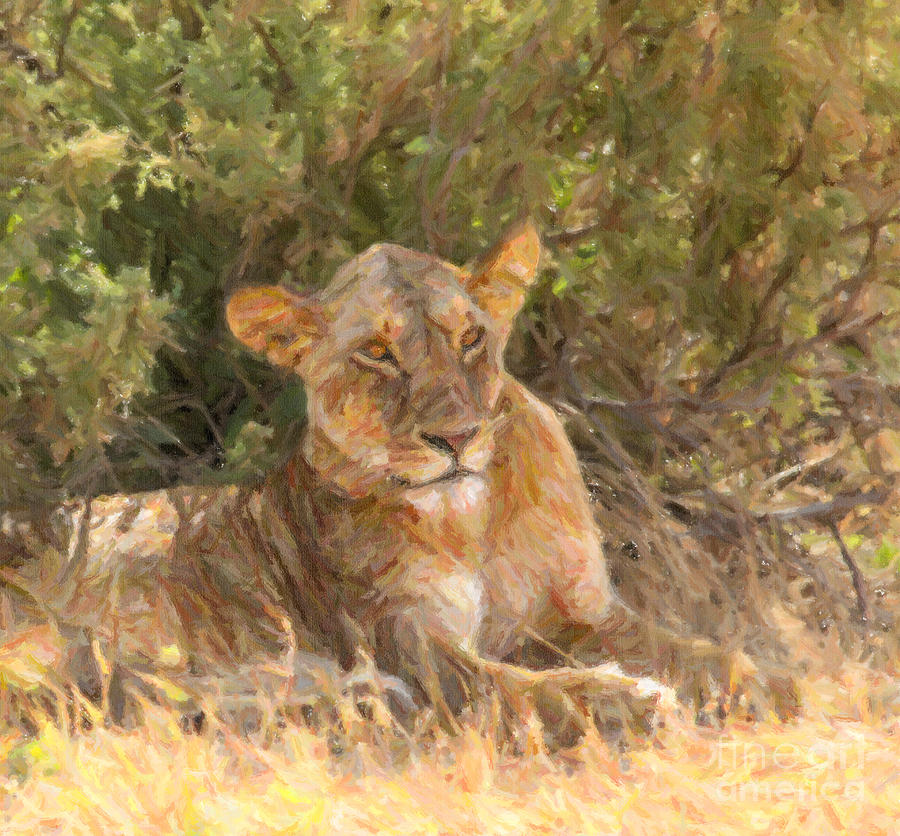 Lioness  Panthera leo resting Digital Art by Liz Leyden