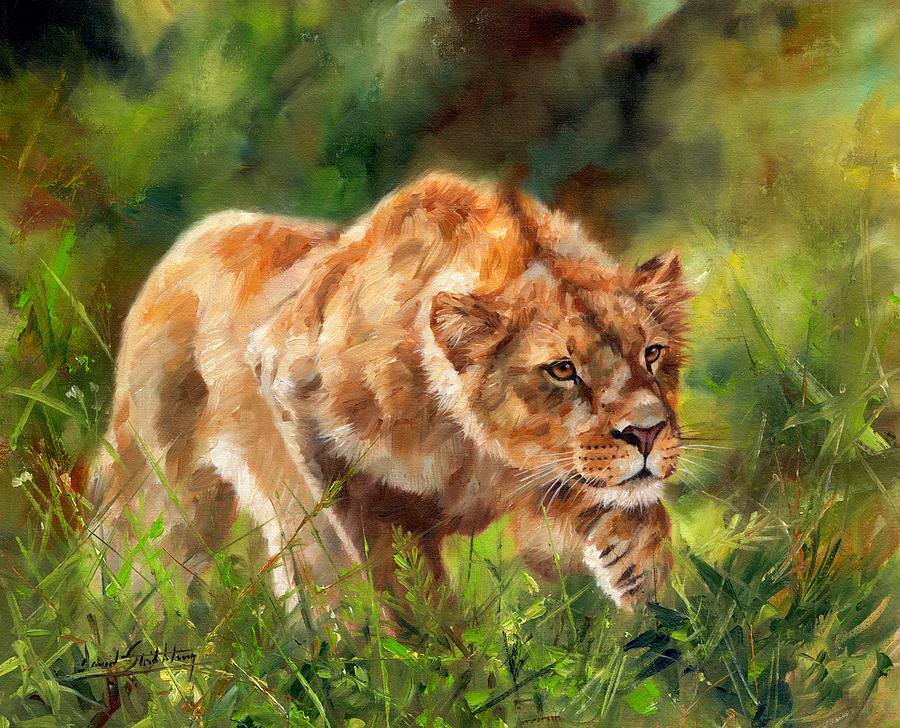 Lioness Stalking Painting by David Stribbling