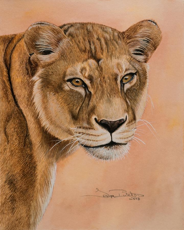 Lioness Painting by Tonya Butcher