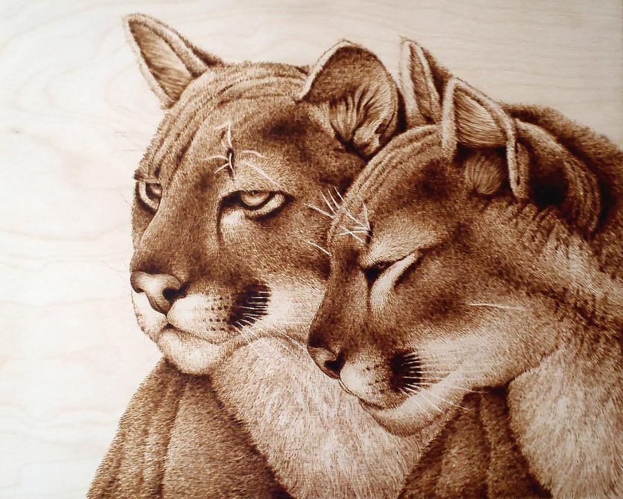 Nature Drawing - Lionesses by Cara Jordan