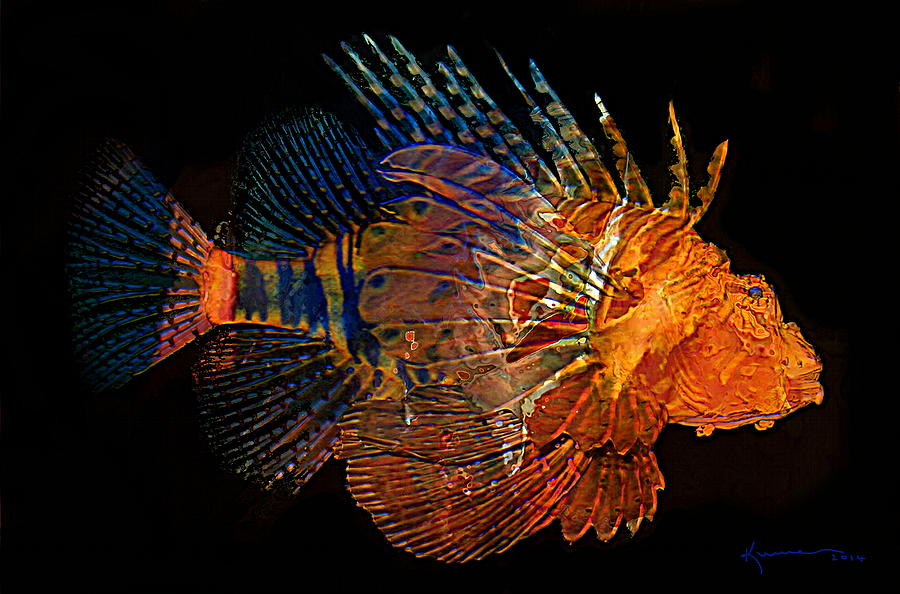 Lionfish 3 Photograph by Kume Bryant