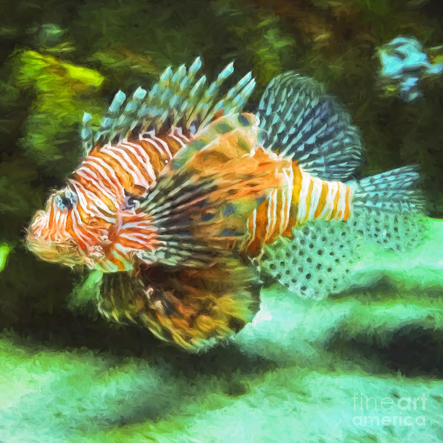 Lionfish Photograph by Kerri Farley