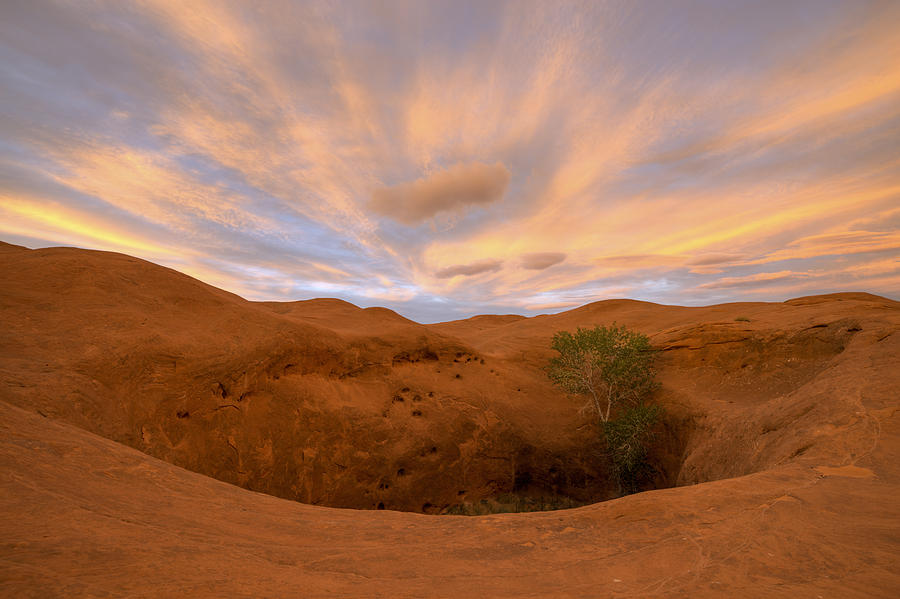 Sunset Photograph - Lionheart by Dustin LeFevre