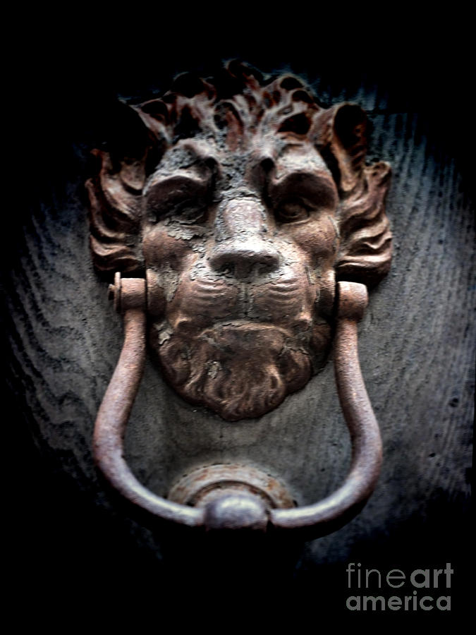 Lionman Knocker Photograph by Karen Lewis