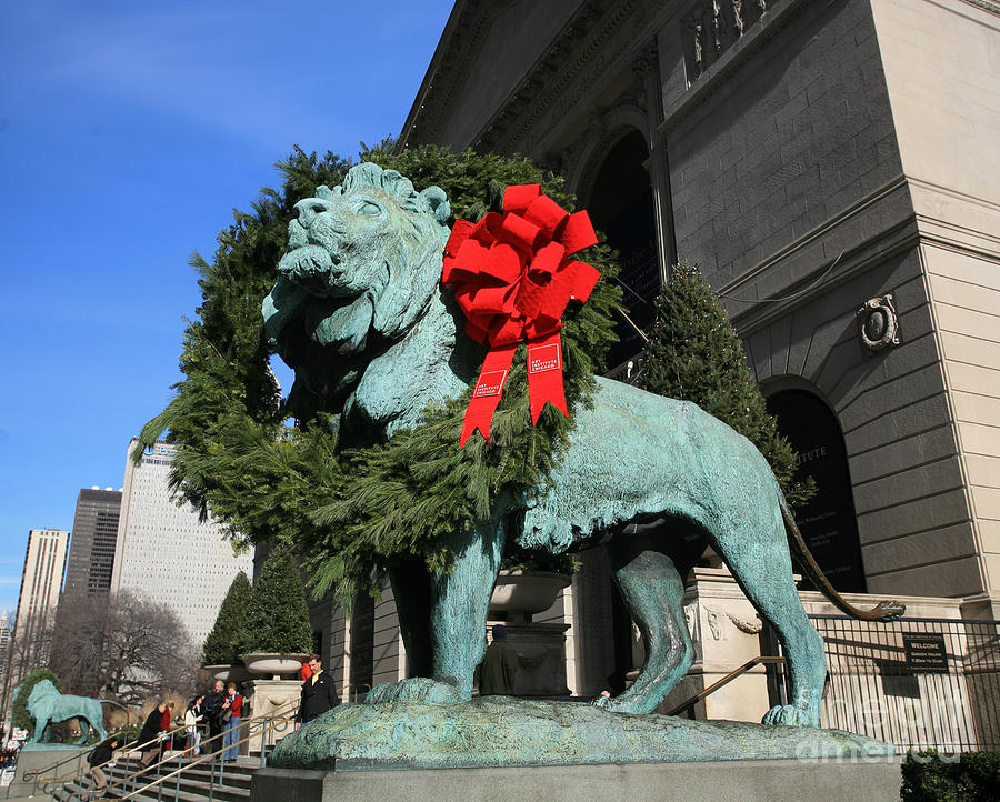 Lions at Christmas Photograph by Timothy Johnson