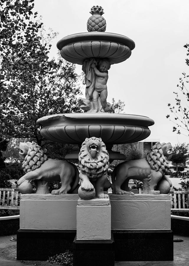 Lions Fountain Photograph by Hillis Creative
