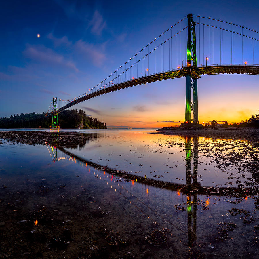 Sunset Photograph - Lions Gate Bridge Reflections by Alexis Birkill