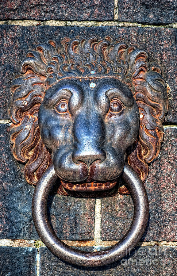 Lions Head Knocker Photograph by Antony McAulay - Fine Art America