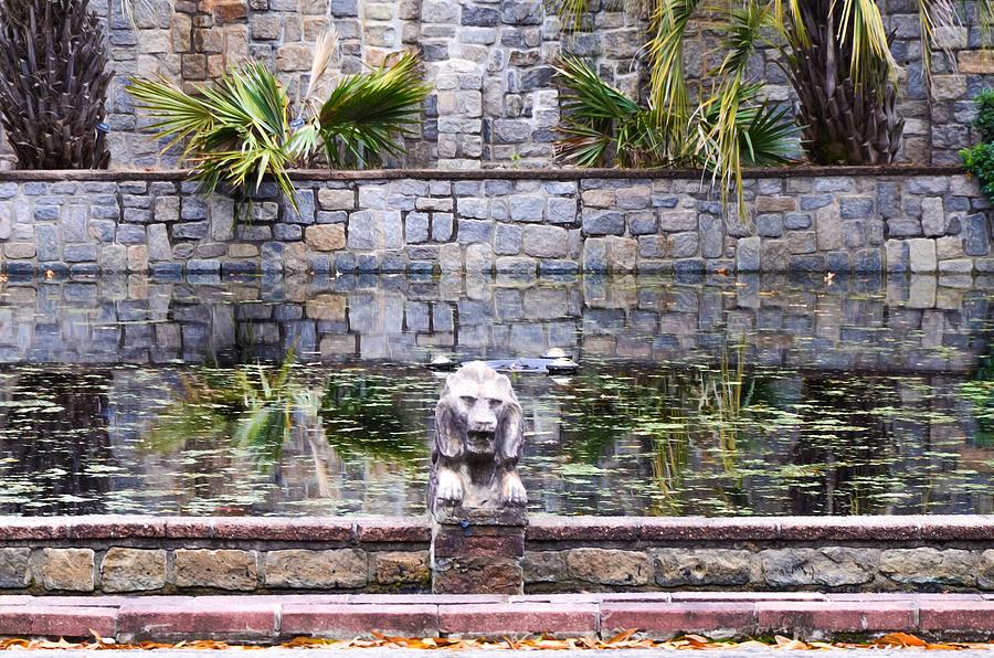 Flower Painting - Lions in the Renaissance Court fountain 2 by Jeelan Clark