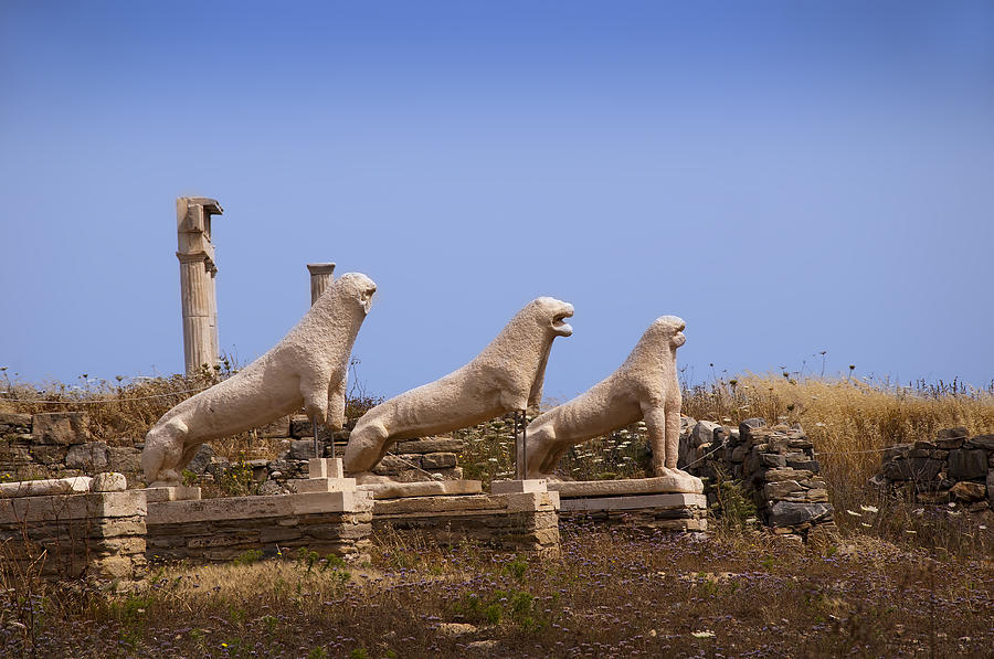 Lions of Delos Photograph by Brenda Kean
