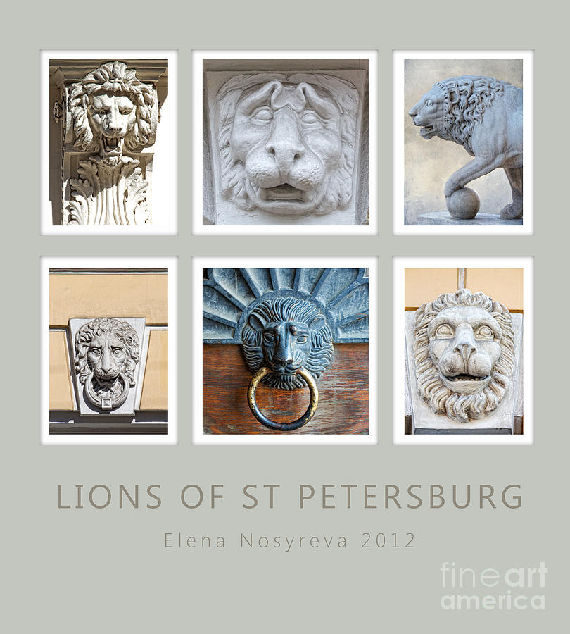 Lions of St Petersburg Photograph by Elena Nosyreva