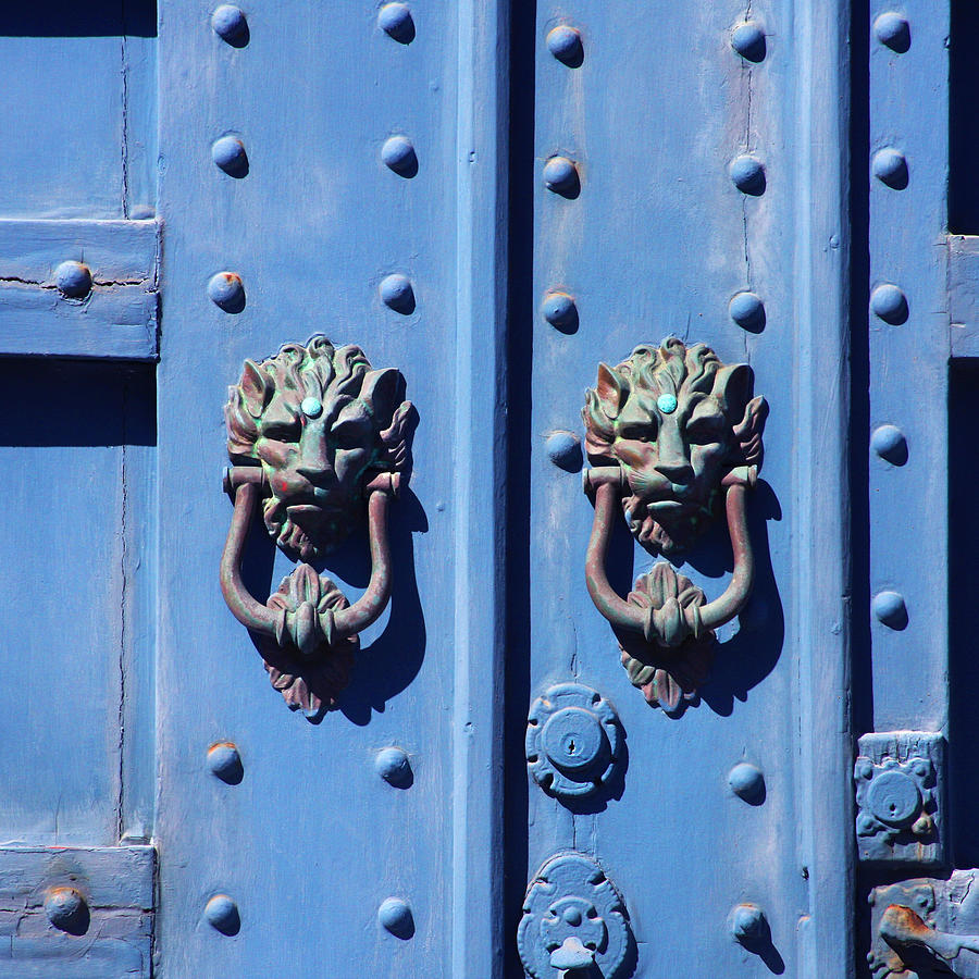 Lions on Blue Door Photograph by Art Block Collections