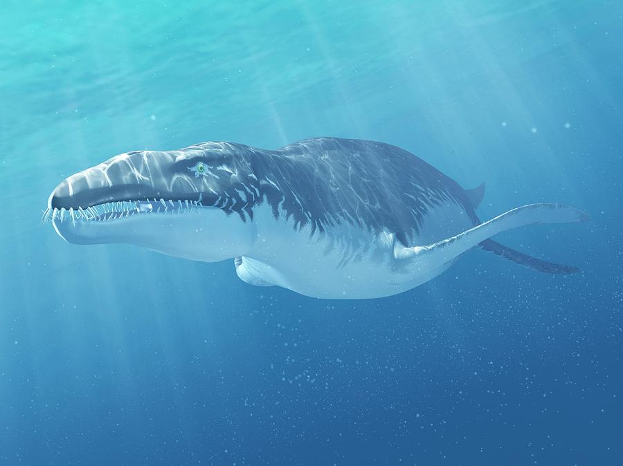 Liopleurodon Marine Reptile Photograph by Sciepro/science Photo Library