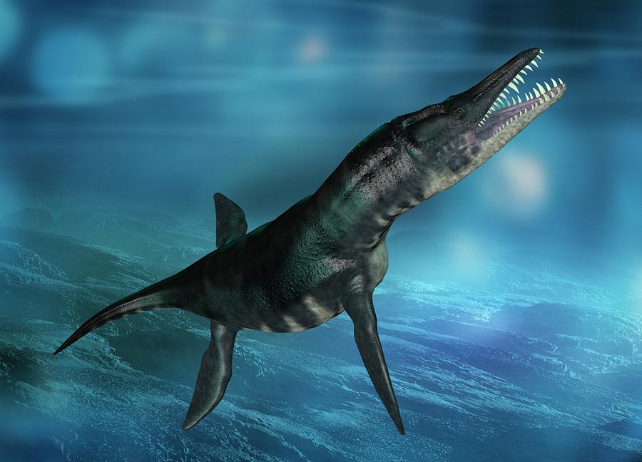 Liopleurodon Marine Reptile Photograph By Victor Habbick Visions 