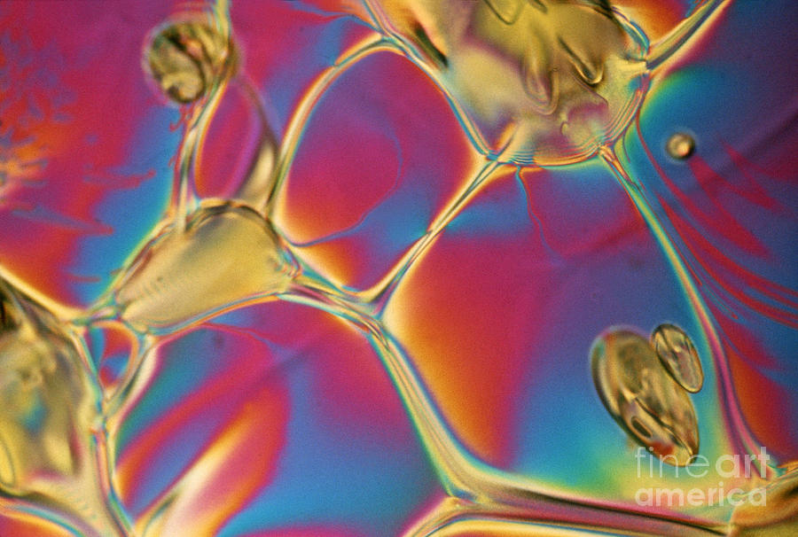Liquid Crystal Photograph by James M. Bell