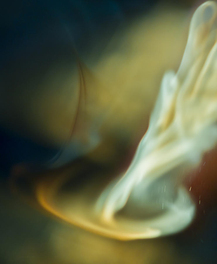 liquid Flame  Photograph by Steven Poulton