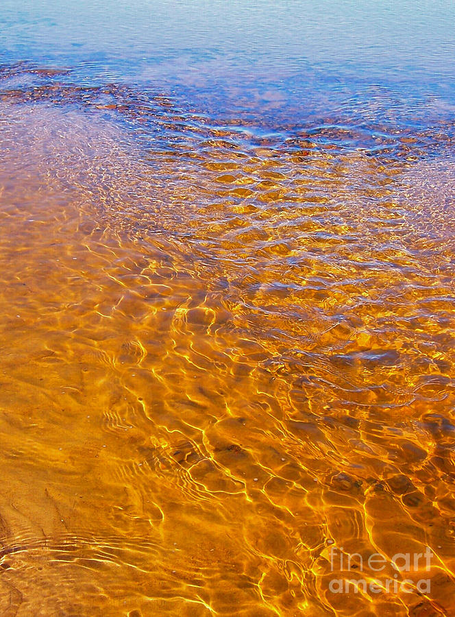 Lake Michigan Photograph - Liquid Gold by Pamela Clements
