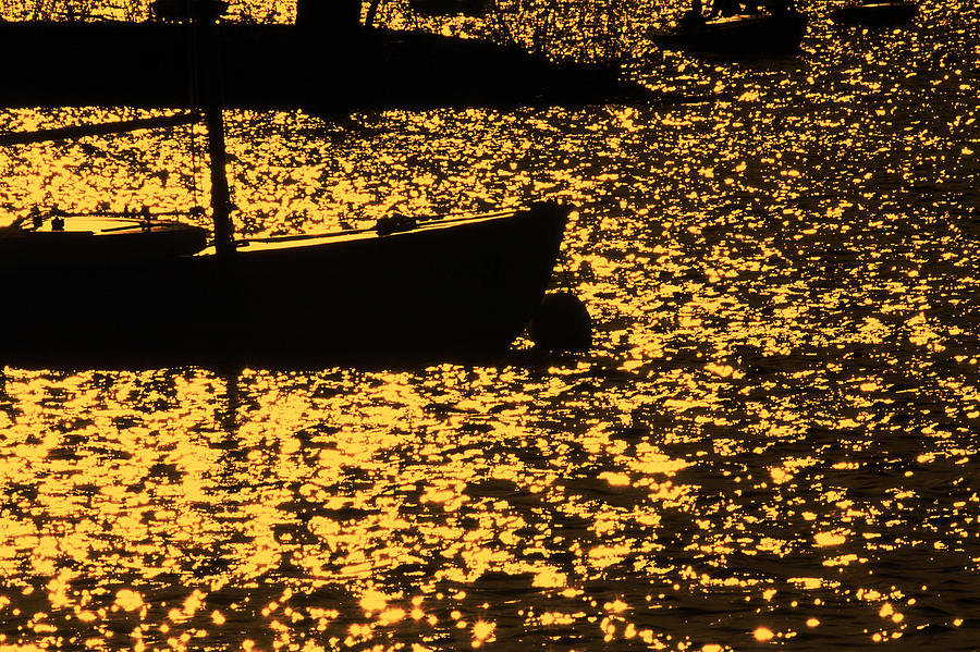 Boston Photograph - Liquid Gold by B Erkmen