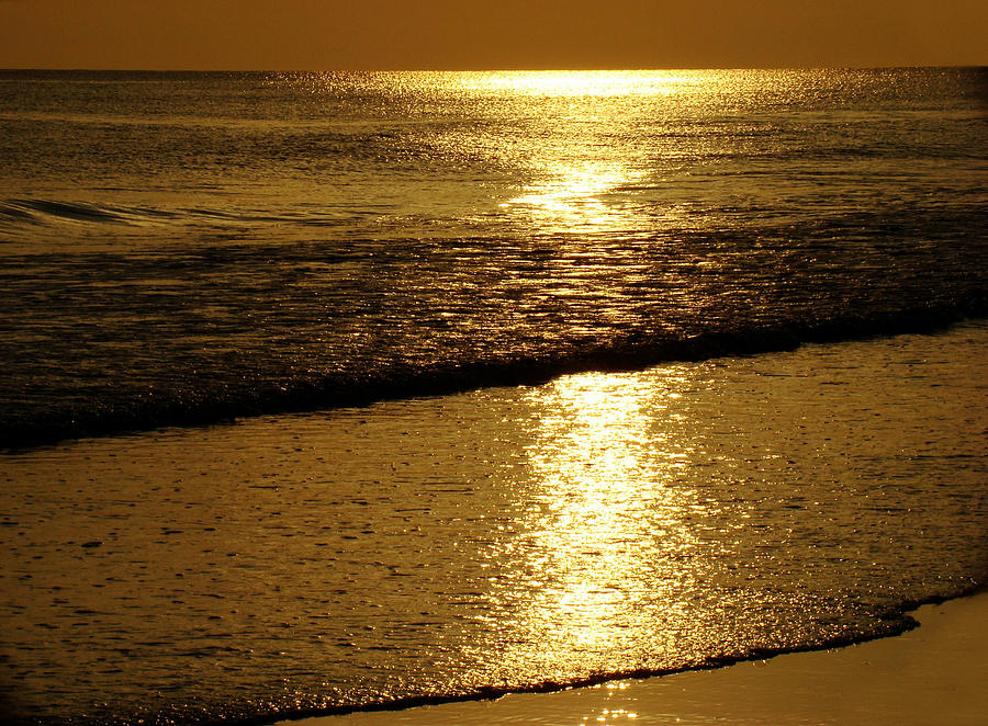 Beach Photograph - Liquid Gold by Sandy Keeton