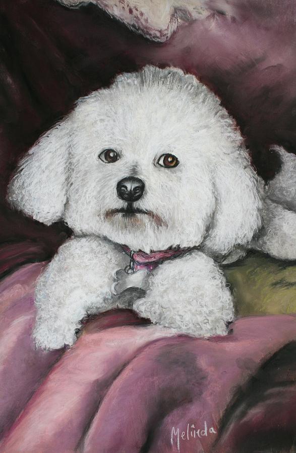 Poodle Painting - Lisa Bichon Pastel by Melinda Saminski