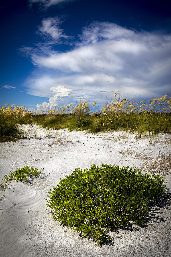 Sand Dunes Photograph - Listen To The Silence by Marvin Spates