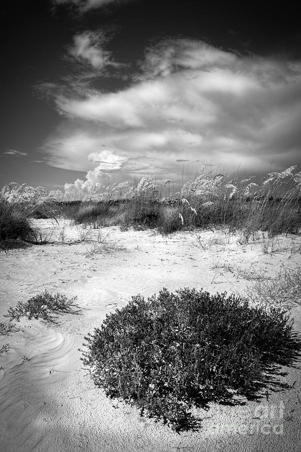Sand Dunes Photograph - Listen to The Slience by Marvin Spates