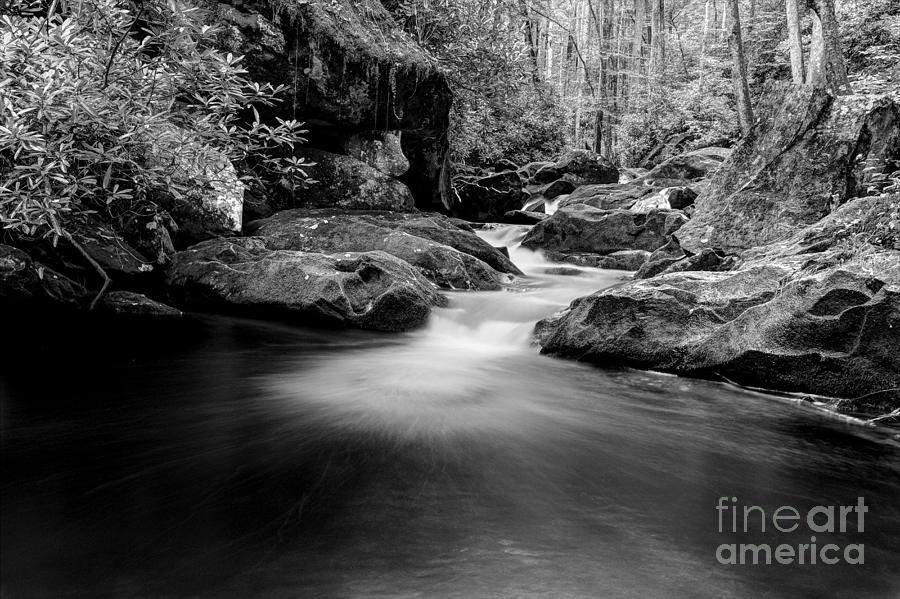 Listen To The Sounds Of The Smokies Photograph by Michael Eingle