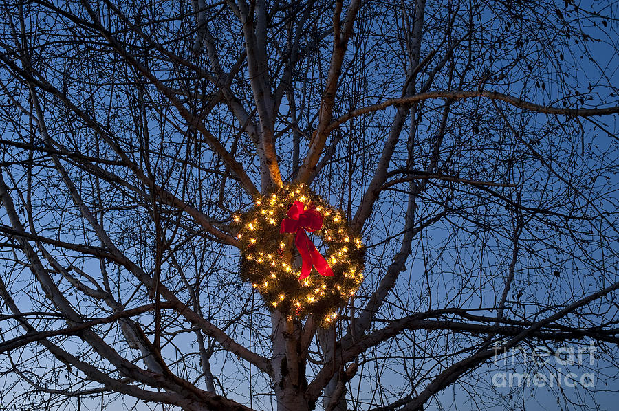 Lit Christmas wreath with red bow hanging in tree Photograph by Jim Corwin