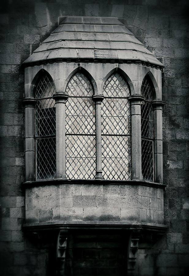 Lattice Castle Window Photograph by Nadalyn Larsen