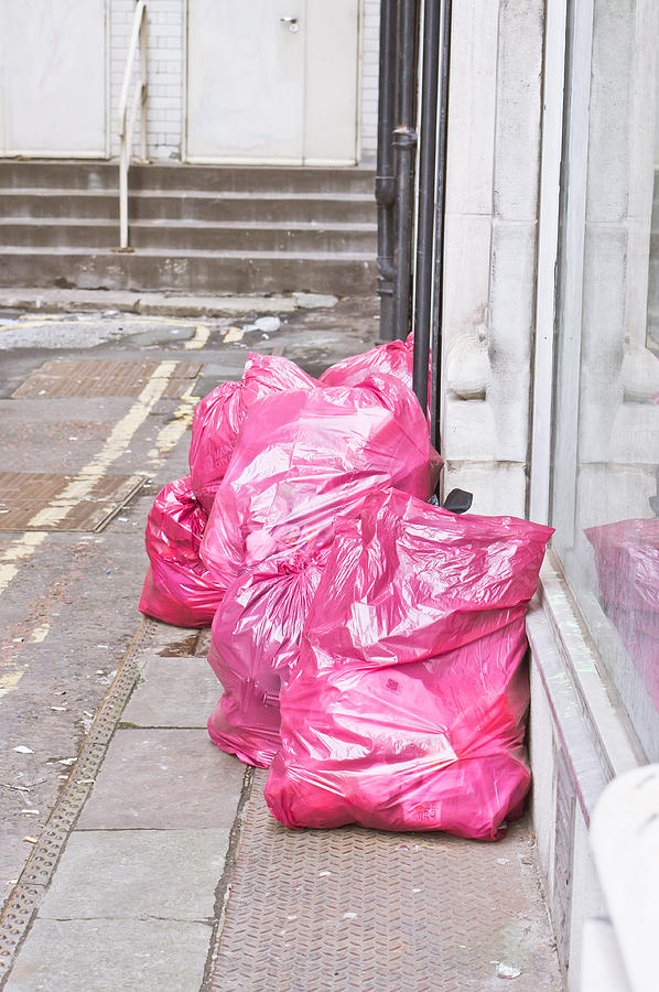 Bags Photograph - Litter bags by Tom Gowanlock