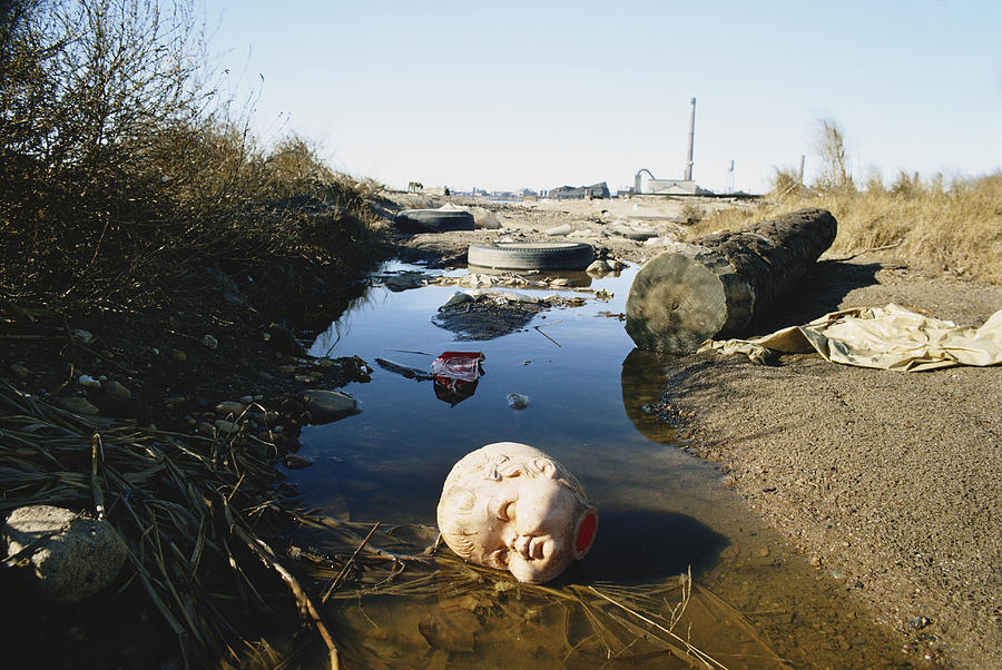 Litter Near Fresh Kills Landfill Photograph by Ray Ellis