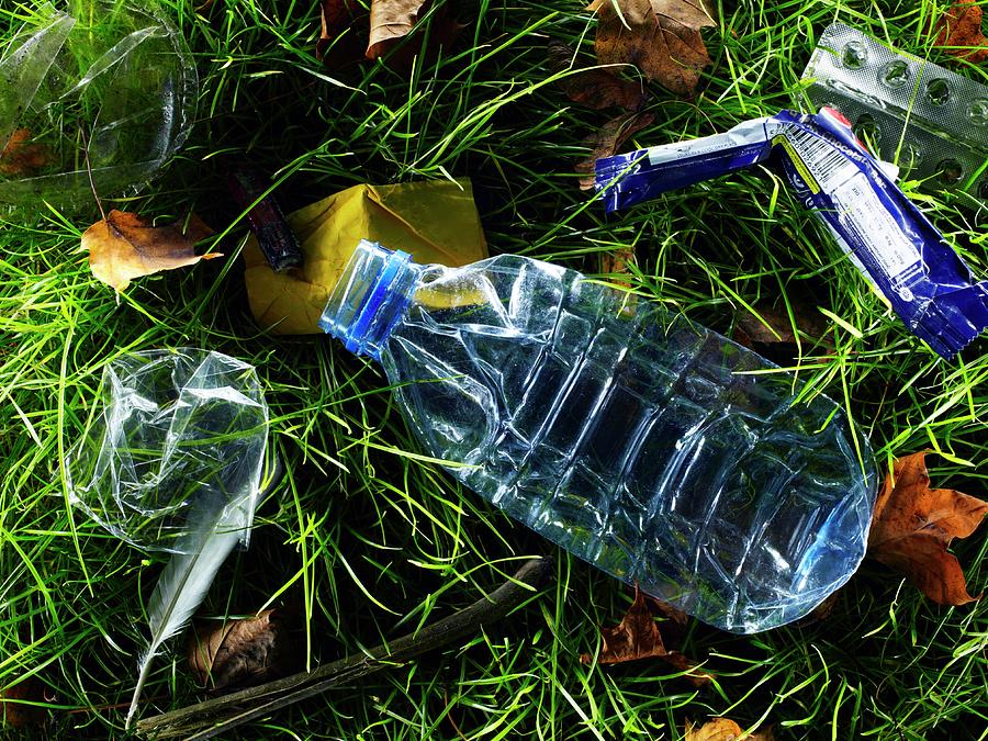 Still Life Photograph - Litter by Patrick Llewelyn-davies/science Photo Library