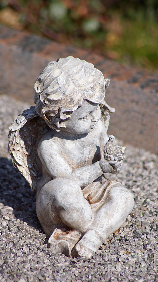Little Angel With Bird In His Hand - Sculpture Photograph