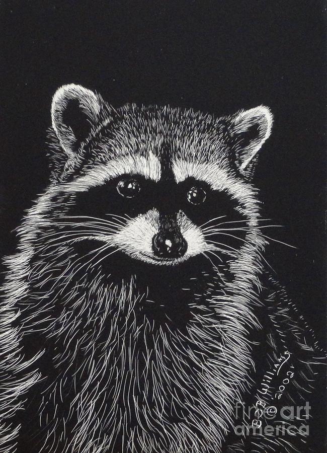 Raccoon Painting - Little Bandit by Bob Williams