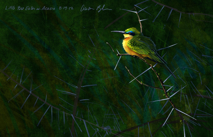 Bird Digital Art - Little Bee Eater by Aaron Blaise