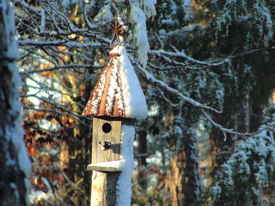 Winter Photograph - Little Birdhouse in the Woods by Norma Brock