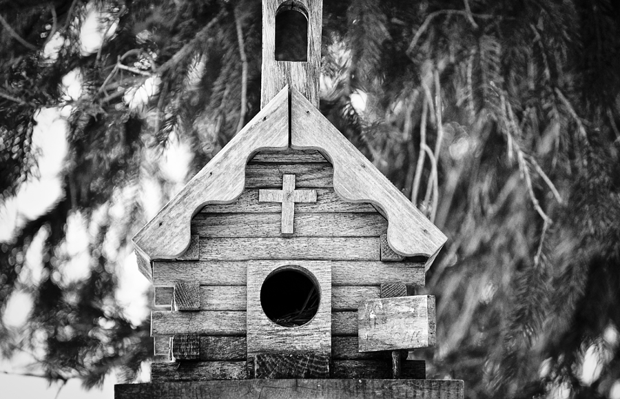 Little Birdie Church Photograph by Christi Kraft