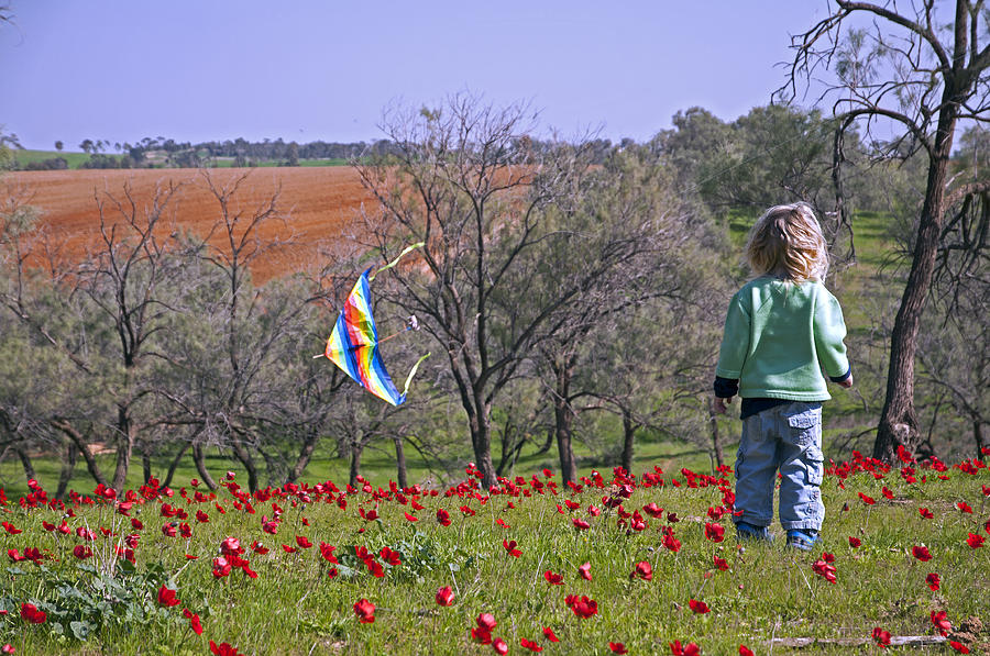 Little boy with a kite at Ruchama forest Israel Photograph by Dubi Roman