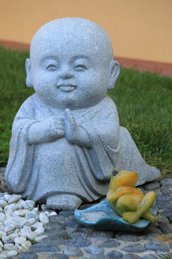 Little Buddha And His Buddy Photograph by Amy Gallagher