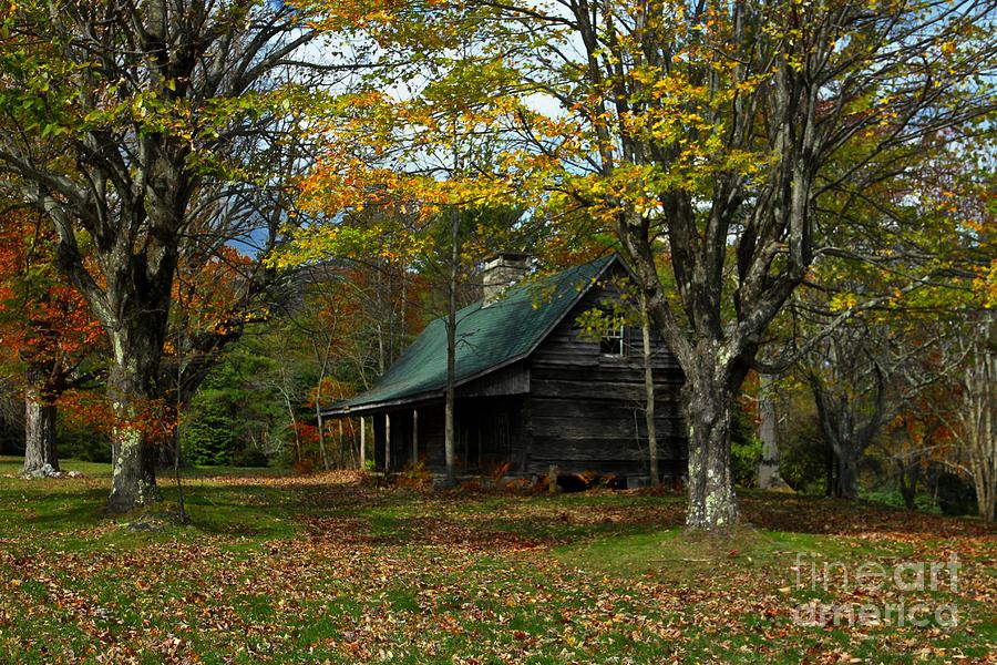Fall Photograph - Little Cabin in the Woods by Benanne Stiens