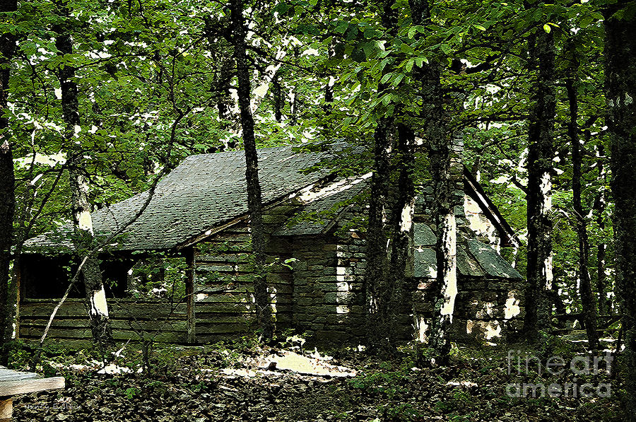 Little Cabin In The Woods Photograph