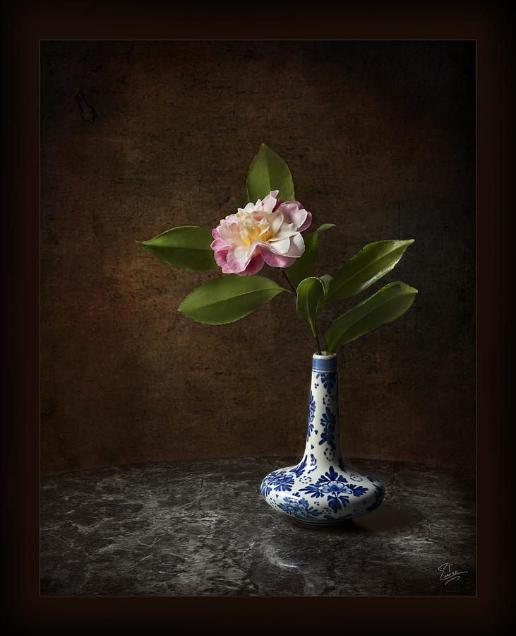 Little Camellia In Vase Photograph by Endre Balogh
