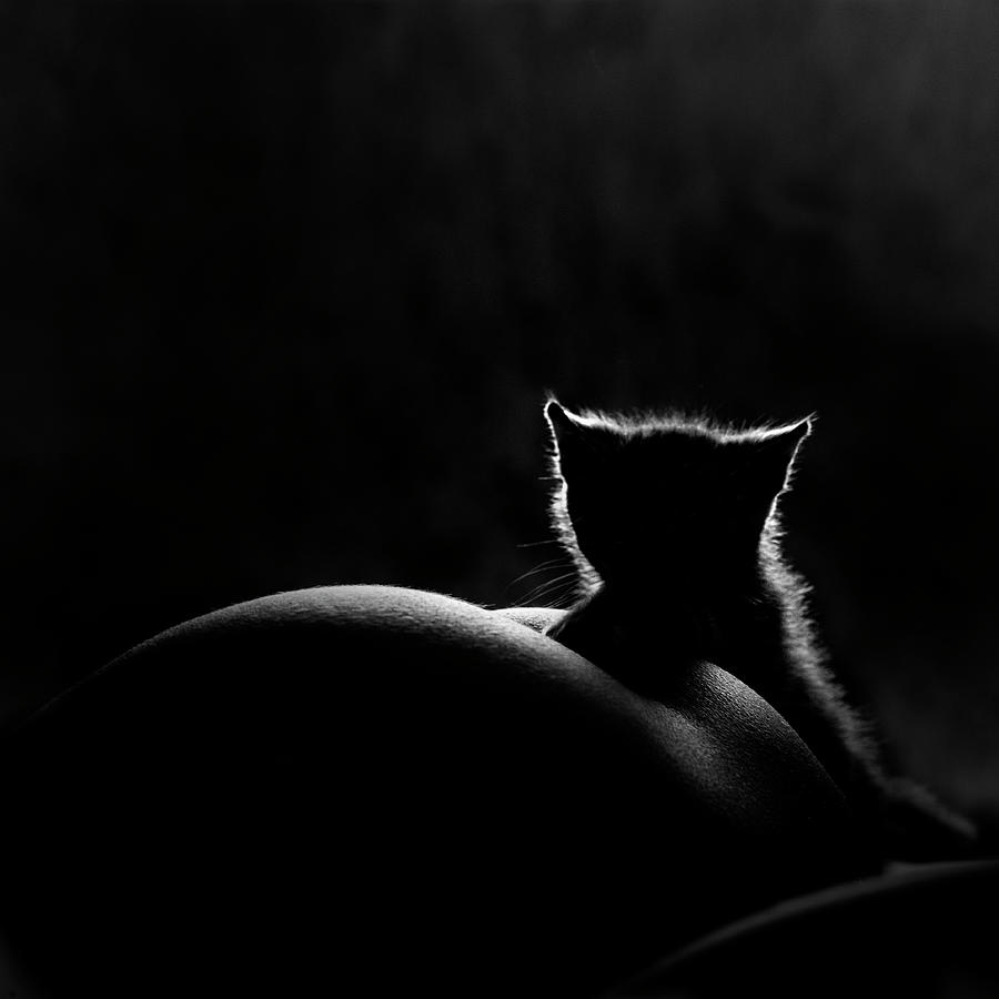 Little Cat Photograph by Raúl Barrero Photography