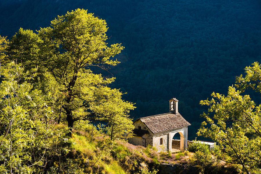 Tree Photograph - Little Chapel in Ticino with beautiful green trees by Matthias Hauser