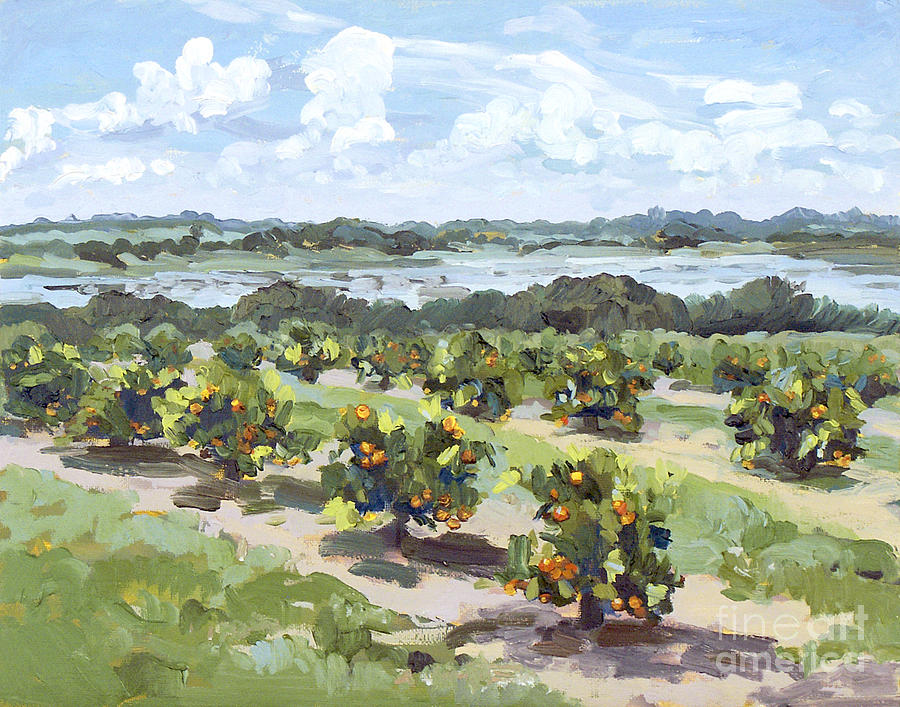 Tree Painting - Little Citrus Grove by Blair Updike