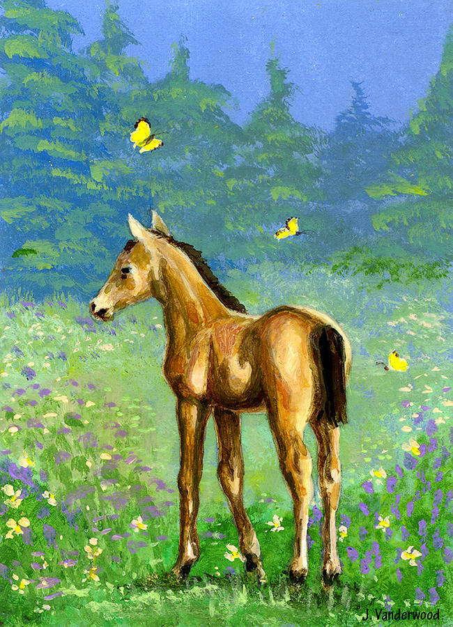 Little Colt and Butterflies Painting by Jacquelin L Westerman