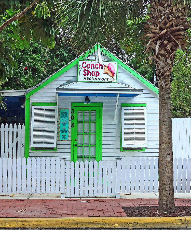 Tropical Photograph - Little Conch Shop Key West by Rebecca Korpita